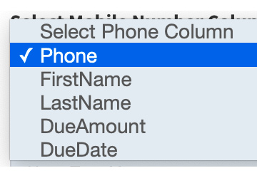 05. Select Phone Field